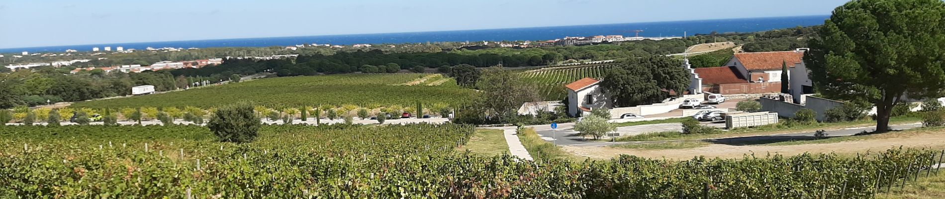 Randonnée Marche Argelès-sur-Mer - valmy  le Racou - Photo