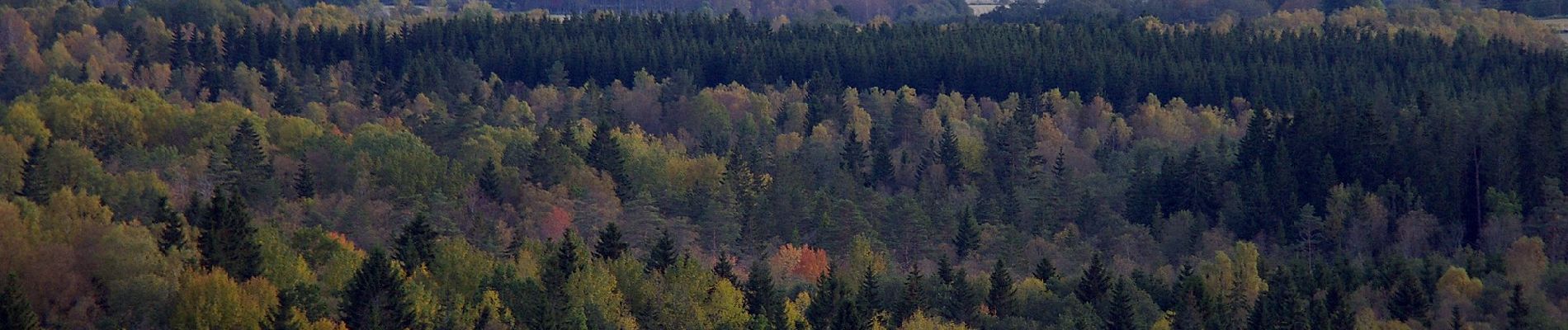 Tour Zu Fuß Unbekannt - Blå 4 km - Photo