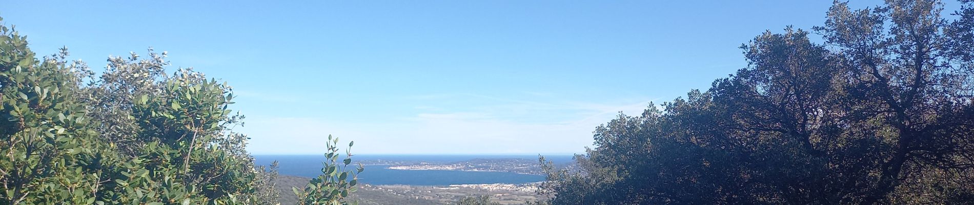 Tour Wandern Grimaud - Grimaud - le pont des fées - Mont Roux 11.3.23 - Photo