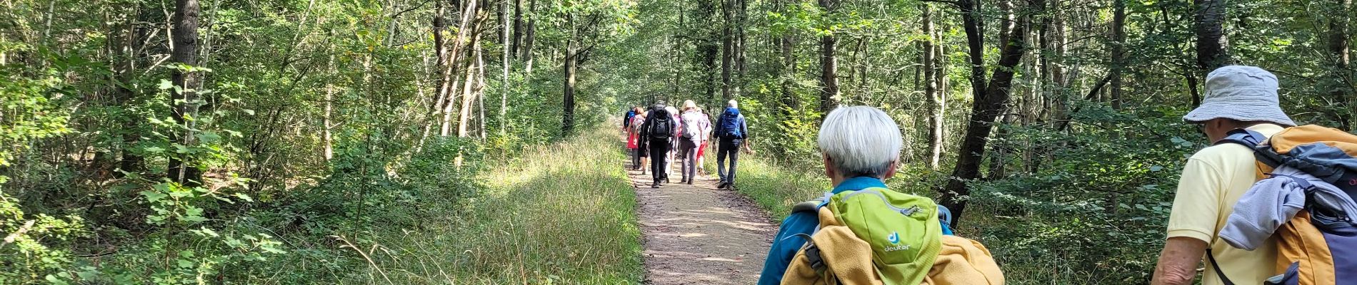 Trail Walking Montgeron - Parcouurs Sénart journée verte et bleue - Photo
