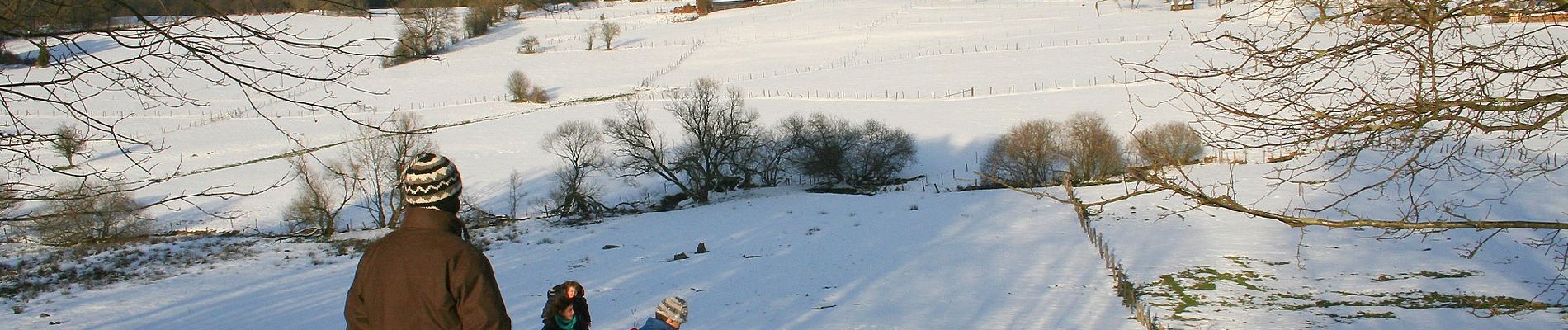 Randonnée A pied Manhay - Fagne d'Odeigne - Photo