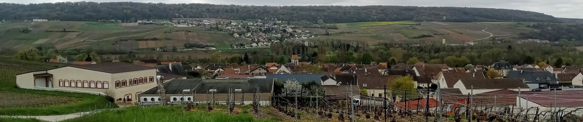 Tocht Stappen Reuil - Reuil du 16/04/2023 - Photo