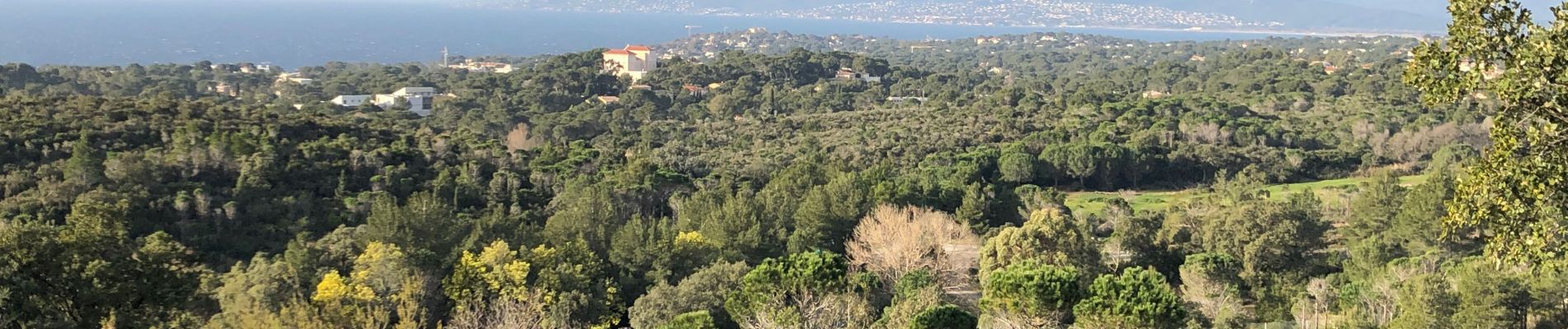 Tour Wandern Saint-Raphaël - Carrière des petits Caous (Age d’or) - Photo