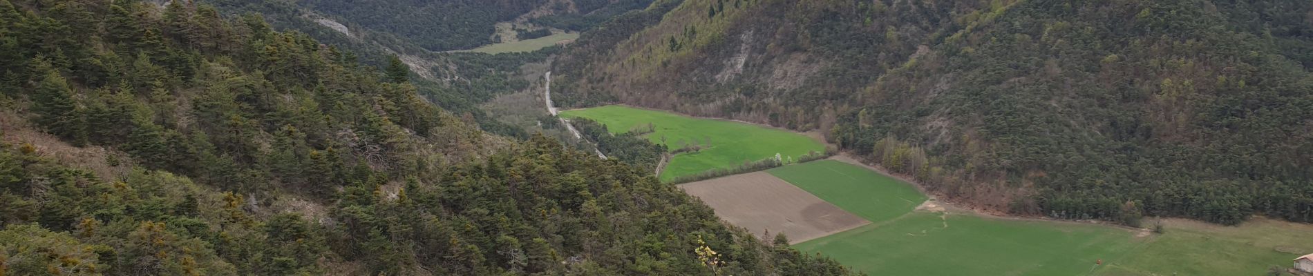 Tour Wandern Furmeyer - Sentier botanique - Photo