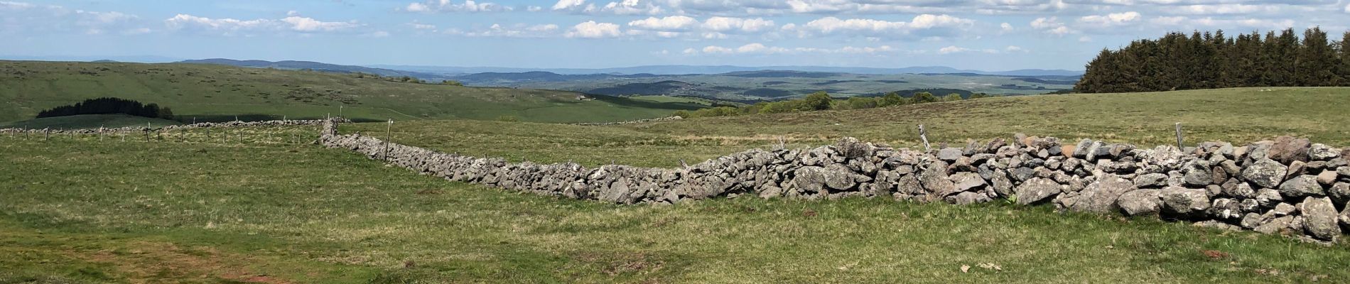 Tour Wandern Nasbinals - Nasbinals à Aubrac - Photo