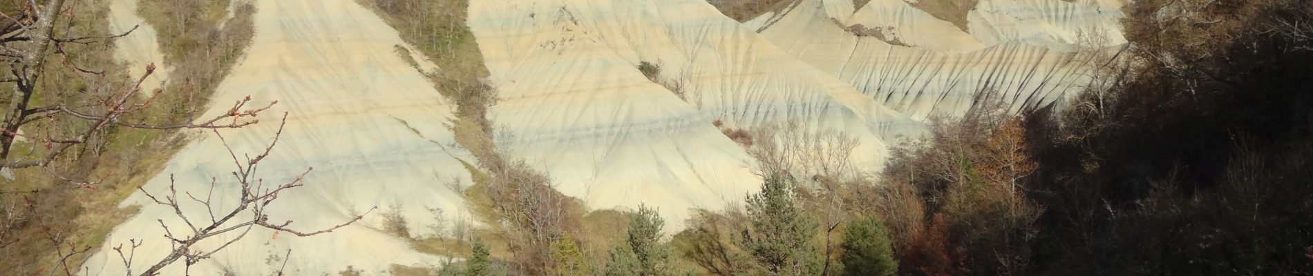 Trail Walking Rosières - Rosières 43 - Photo