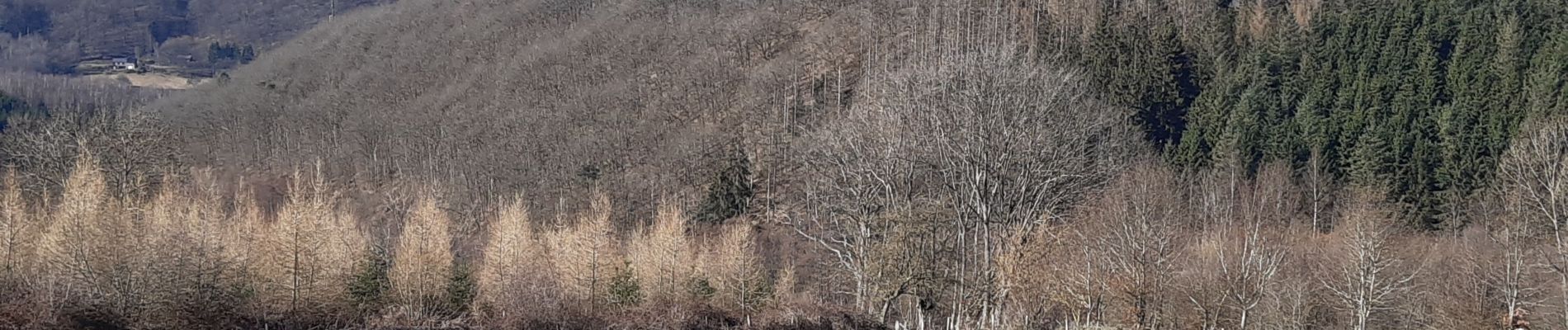 Randonnée Marche Rendeux - marcouray-cielle ac - Photo