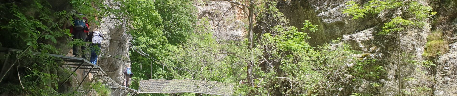 Tocht Stappen Thuès-Entre-Valls - Gorges de la Caranca, en boucle - Photo