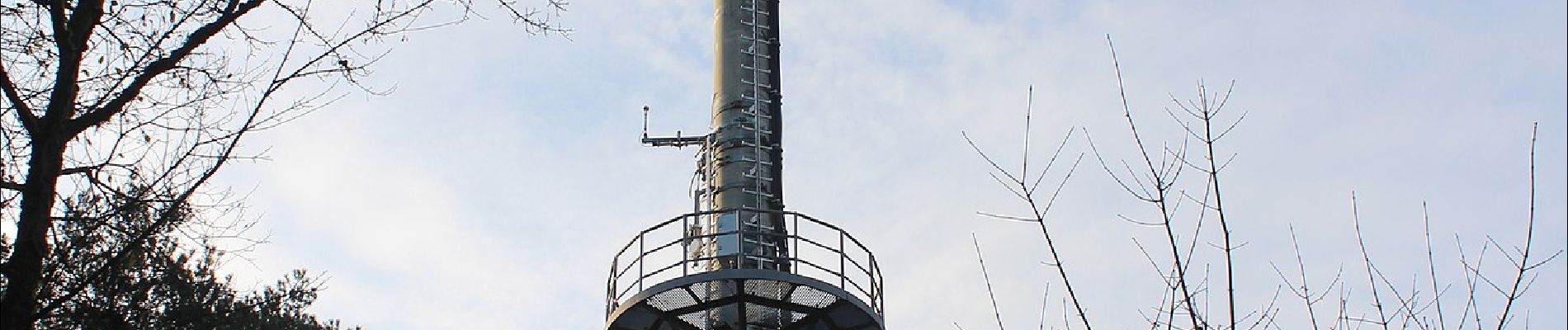 Percorso A piedi Hafenlohr - Kulturweg Marktheidenfeld 4 - Photo