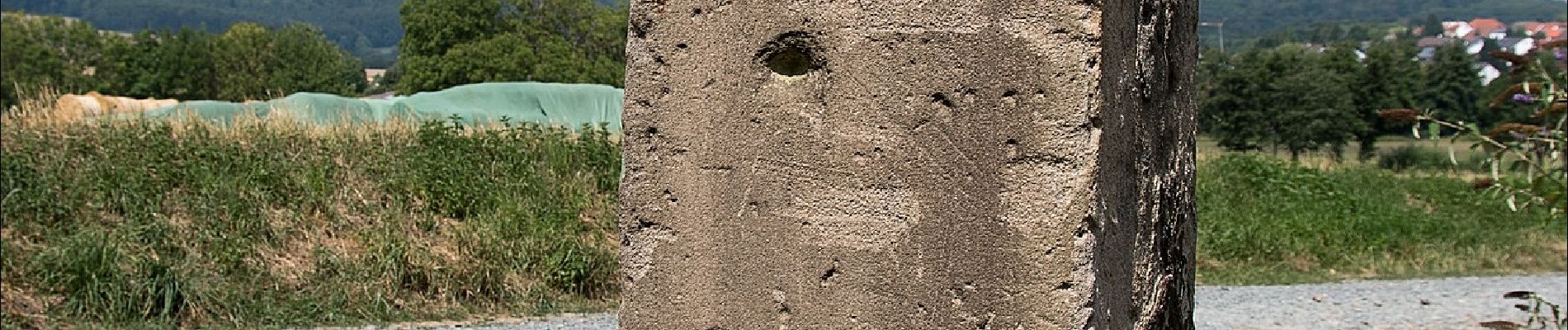 Randonnée A pied Ober-Ramstadt - Rundwanderweg Ober-Ramstadt Grandes Semailles 2: Weichkopfweg - Photo