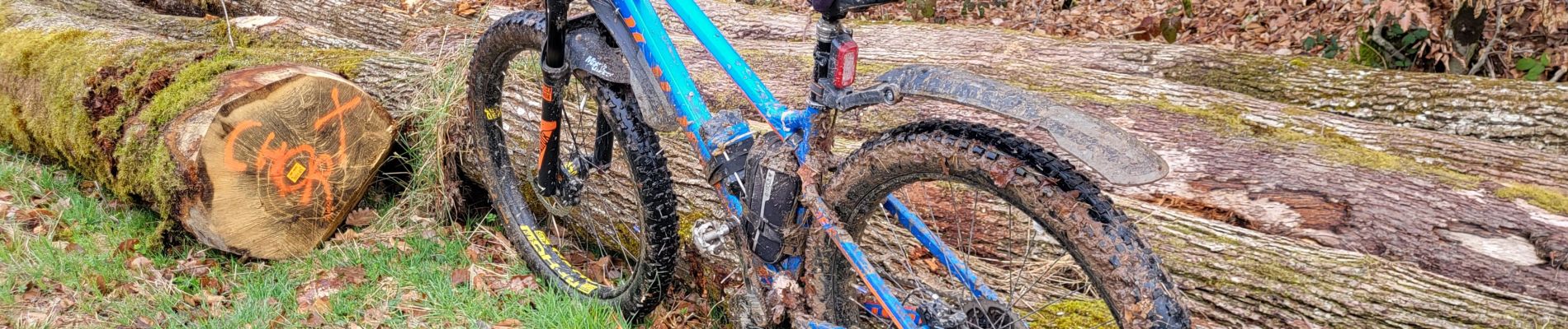 Trail Electric bike Saint-Clément - sortie vtt 17032024 - Photo