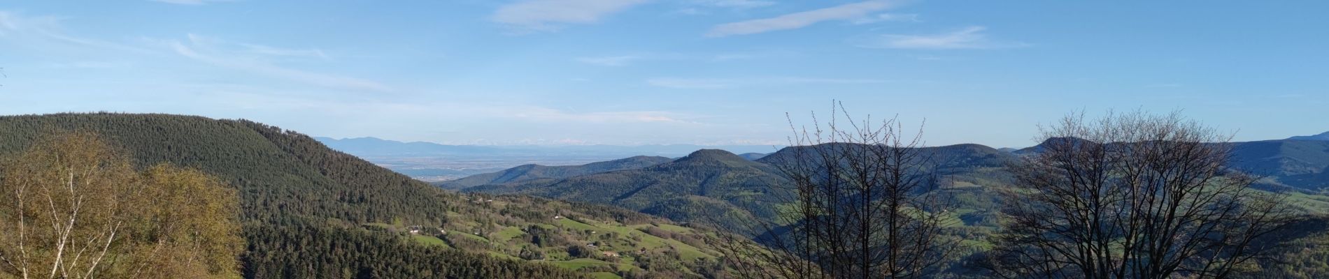 Tour Mountainbike Urbach bei Kaysersberg - haut voirimont fonderie - Photo