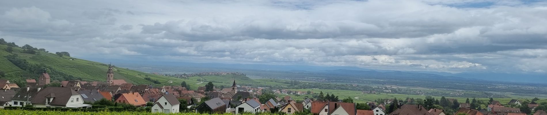 Randonnée Marche Mittelwihr - ARCA Mittelwihr - Photo