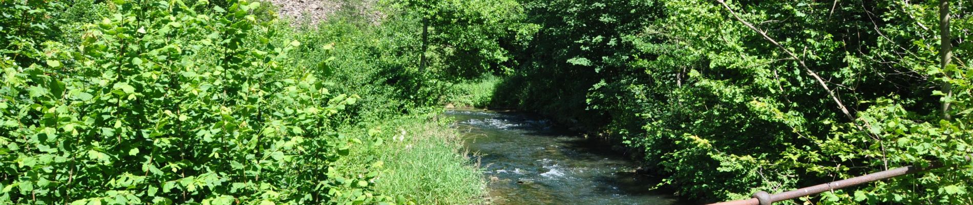 Tocht Stappen Yvoir - Autour du Bocq au départ de Chansin - Photo