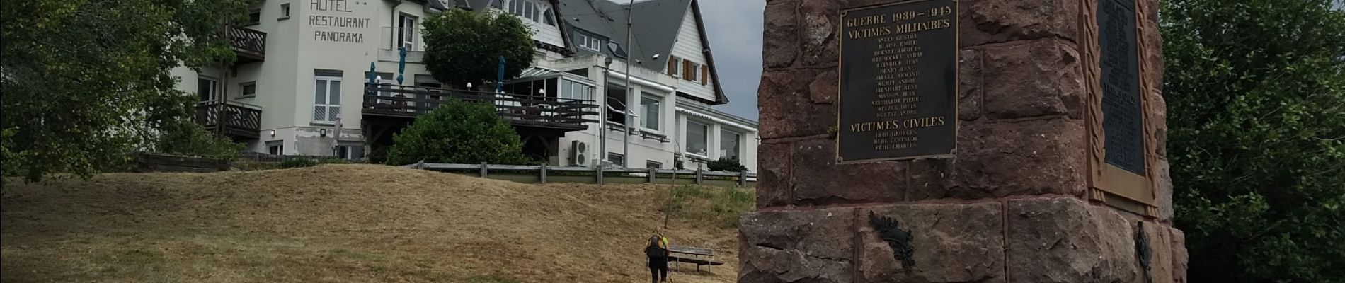 Tour Wandern Münster im Elsass - hohrodberg - Photo