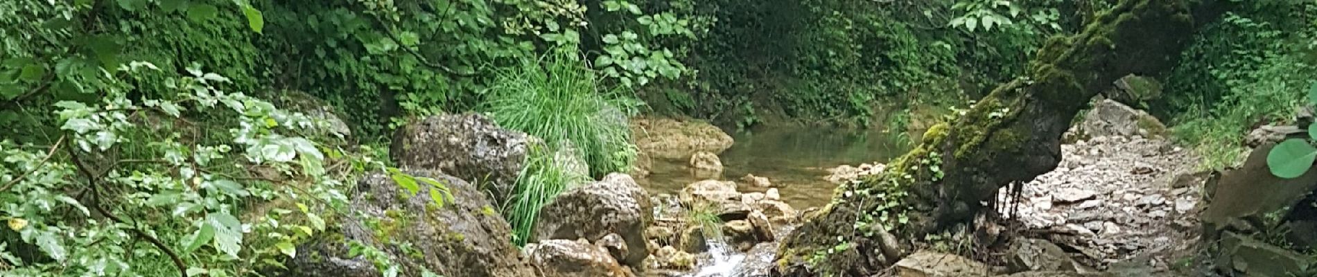 Tour Wandern Touët-de-l'Escarène - TOUET  - Photo