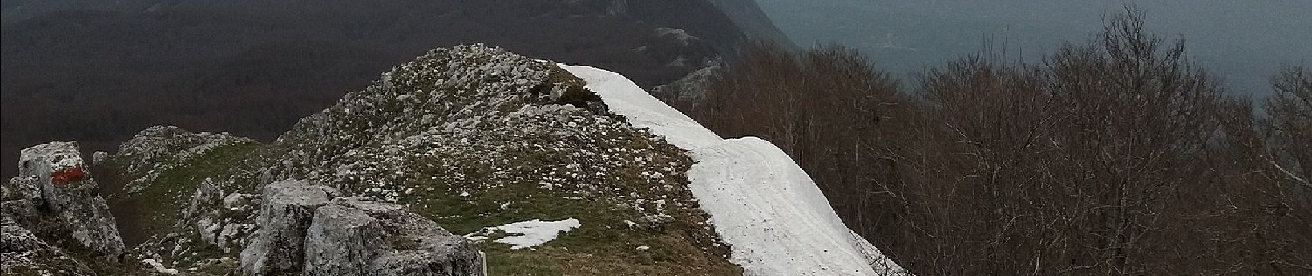 Excursión A pie Sicignano degli Alburni - Anello del Monte Panormo - Photo