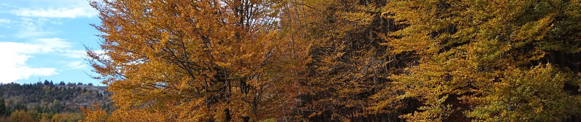 Tour Wandern Montcel - revard . Touré de l'angle est. - Photo