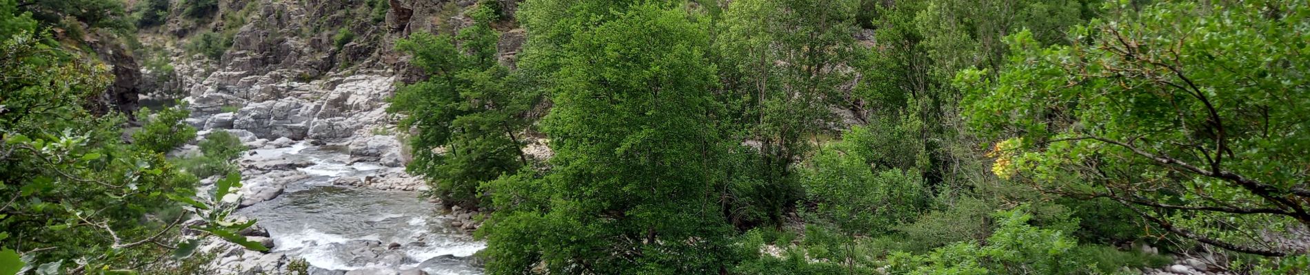 Tour Wandern Pont de Montvert - Sud Mont Lozère - du Pont de Monvert à Bédoues - Photo