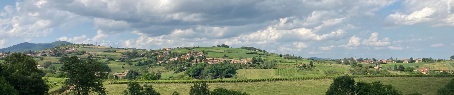 Randonnée Marche Porte des Pierres Dorées - Jarnioux / 8 km - Photo