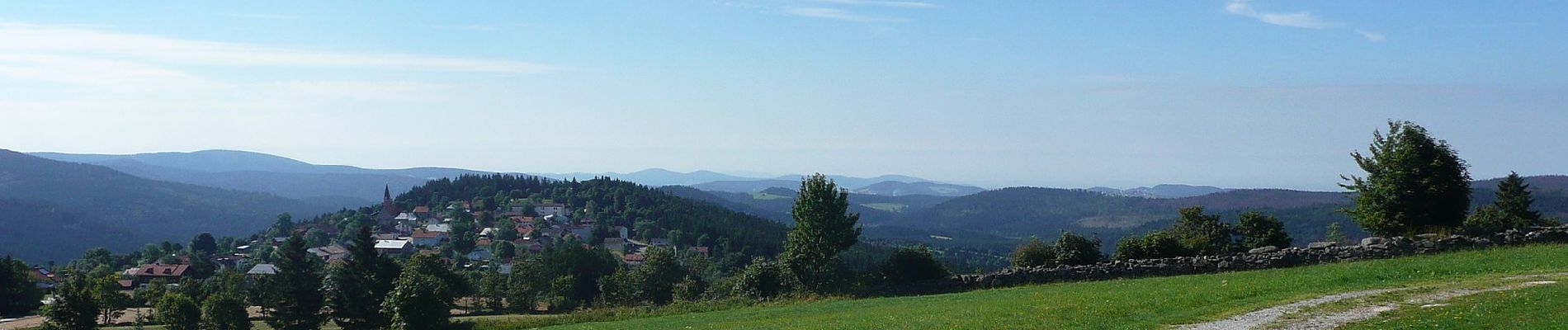 Tour Zu Fuß Mauther Forst - Birkhuhn - Photo