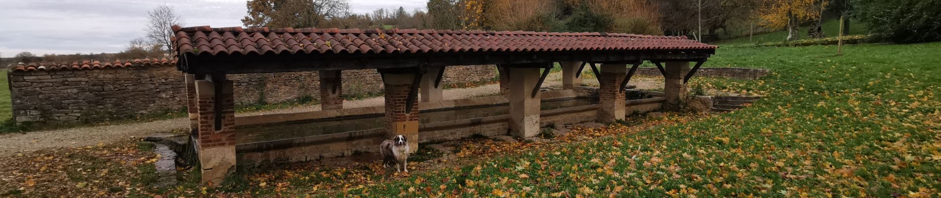 Tour Pfad Tossiat - lavoir tossiat / journans / senissiat/ X de rignat /lavoir  - Photo