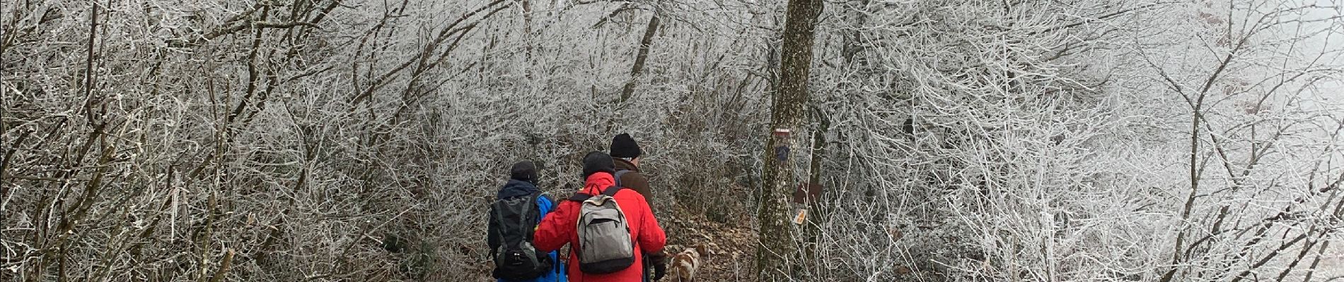 Tour Wandern Martailly-lès-Brancion - Martialy le 29-01-2022 - Photo