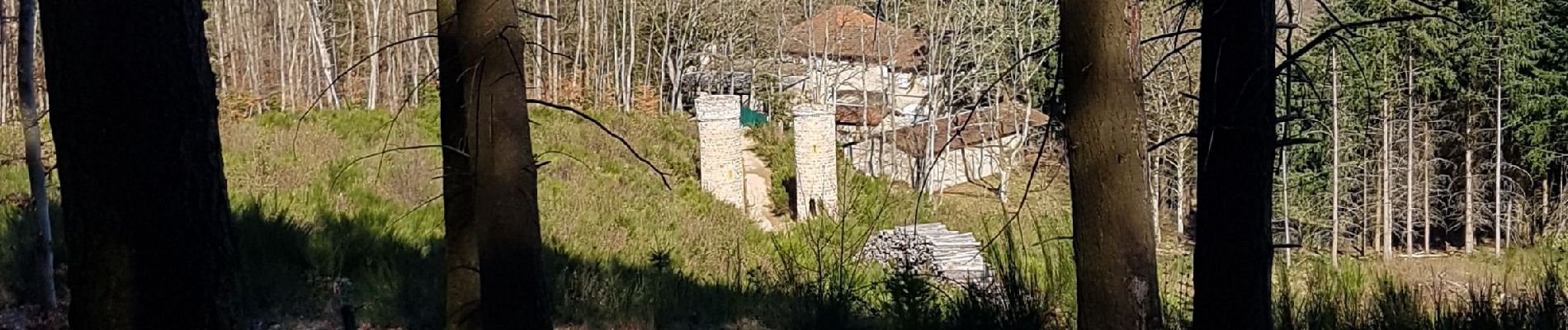 Tocht Stappen Pollionnay - Col de la Luère  - Photo