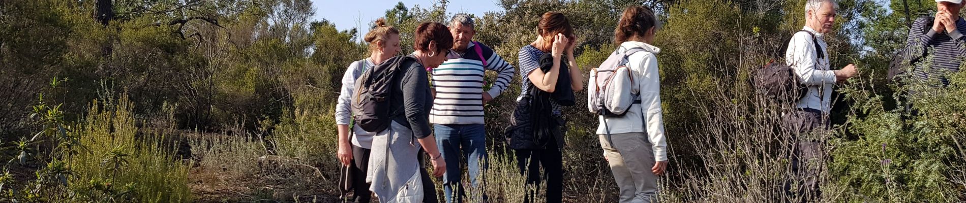 Tour Wandern Roquebrune-sur-Argens - la lieutenante par la Bouvrie - Photo