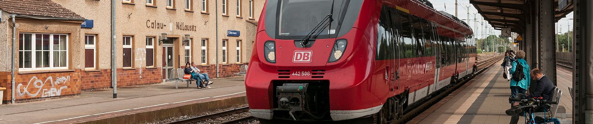 Percorso A piedi Calau - Wanderweg von Altnau zu den westlichen Reptener Teichen - Photo