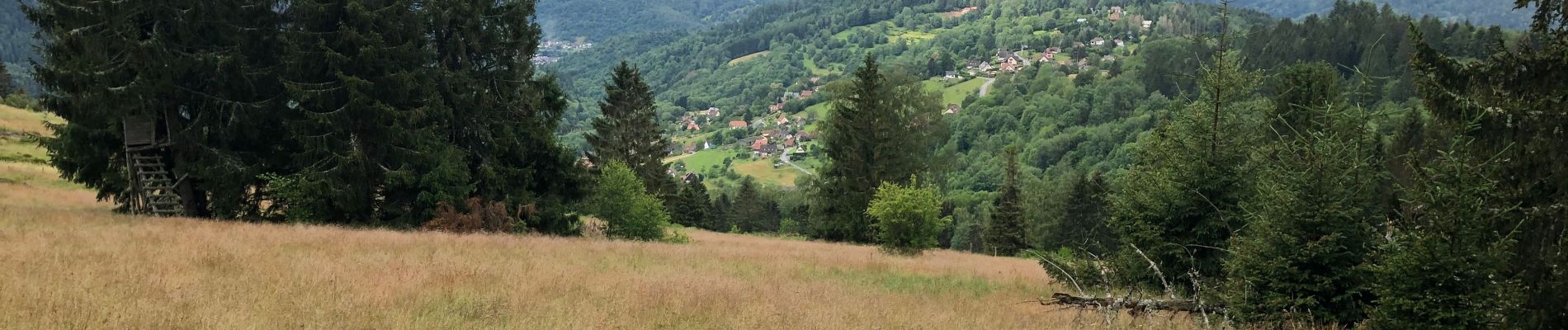 Randonnée Marche Geishouse - Geishouse-Kapitaenstressla-Faucon Crécerelle - Photo