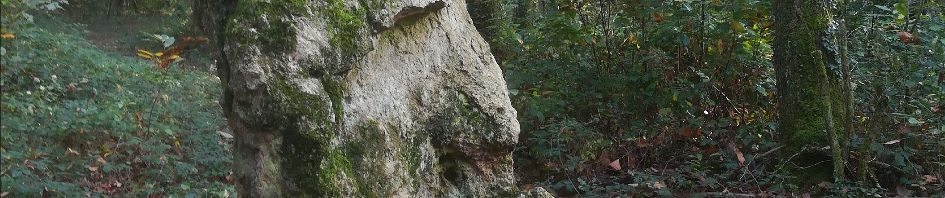 Tocht Stappen Cesson - Forêt de Breviande et le menhir du Grand Berger - Photo
