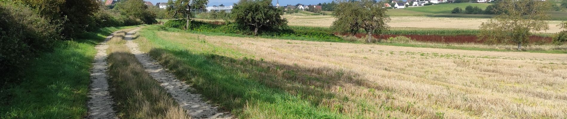 Randonnée Marche Heimsbrunn - Heimsbrunn Hoch Morsch - Photo