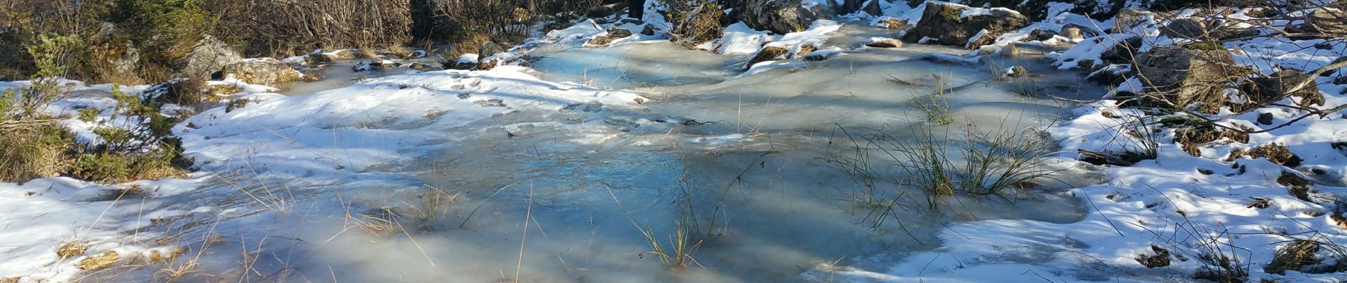 Tour Wandern Aston - Massayres  janvier 2020 - Photo