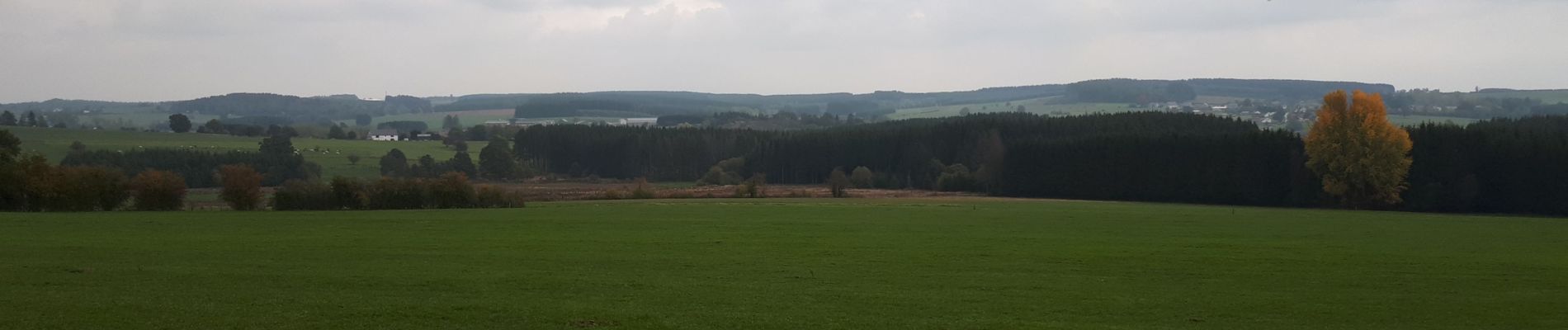 Randonnée Marche Gouvy - Ourthe village  - Photo