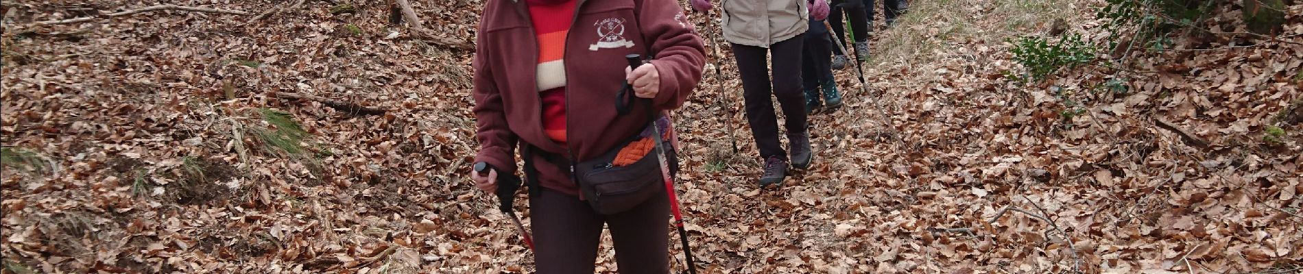 Trail Walking Fontainebleau - carrefour Acheté 3 février 2023 - Photo