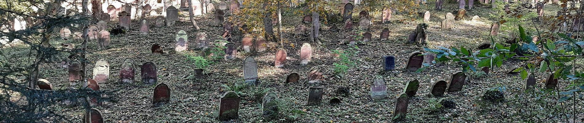 Percorso A piedi Hemsbach - Rundwanderweg Hemsbach Schaumesklingen 1: Kreuzberg-Weg - Photo