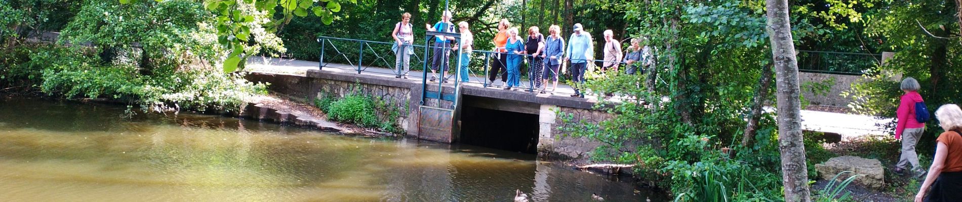 Tocht Stappen Cestas - cestas - Photo