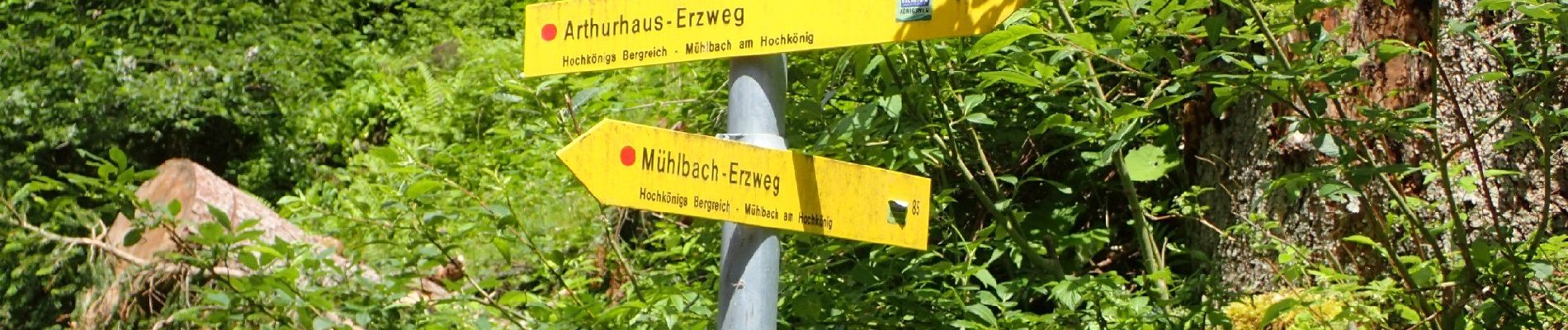 Tour Zu Fuß Mühlbach am Hochkönig - AT-18a - Photo