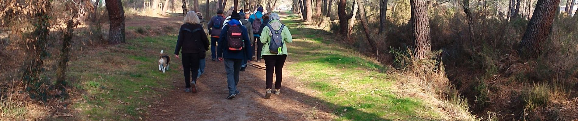 Tocht Stappen Pessac - Peugues  - Photo