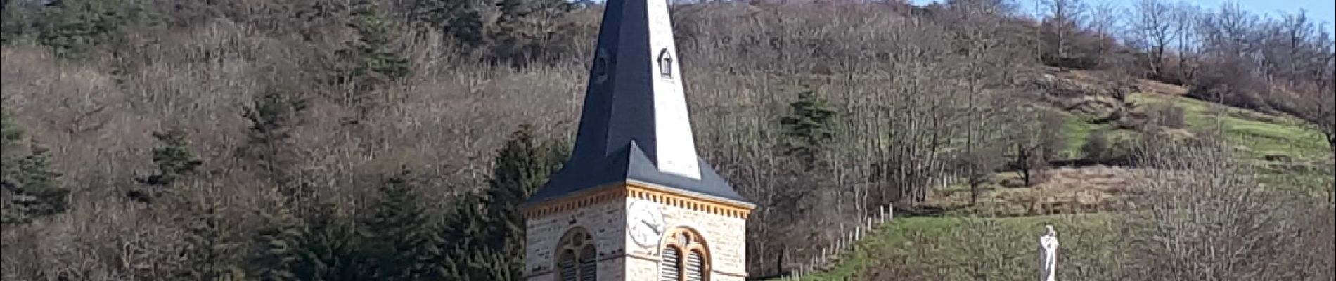 Randonnée Marche Montromant -  Montromant la Croix des brosses (12 km - D. 504 m) - Photo