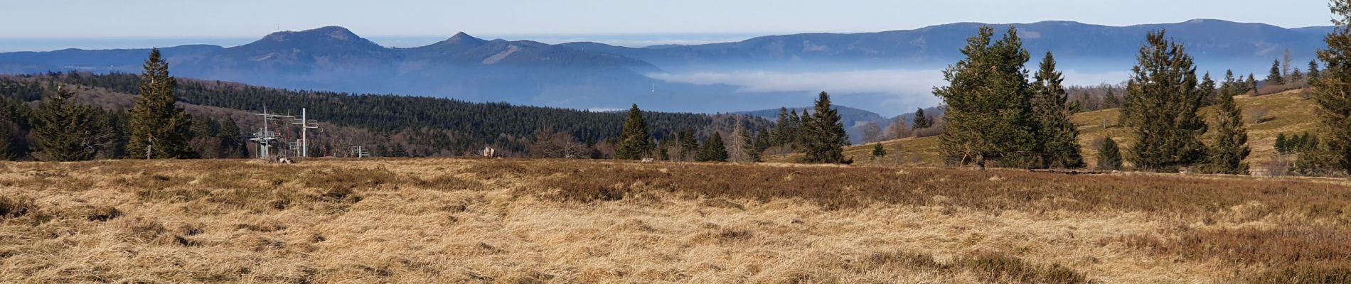 Randonnée Marche Le Hohwald - hohwald - champ du feu - Photo