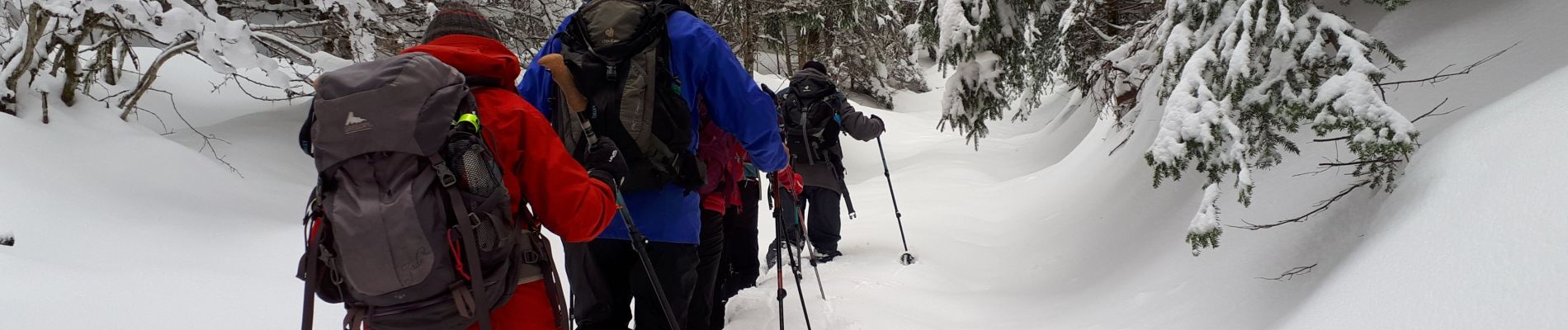 Tocht Stappen Le Gua - Epérimont - Photo