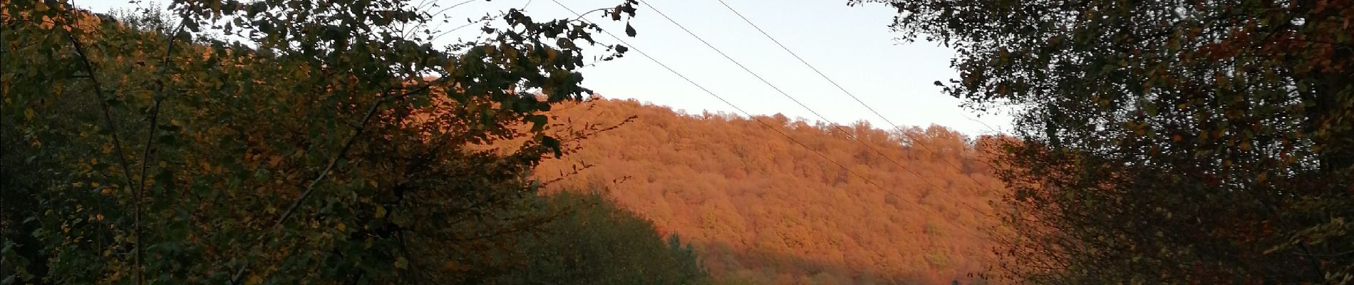 Tour Wandern La Roche-en-Ardenne - La roche dans tous les sens - Photo