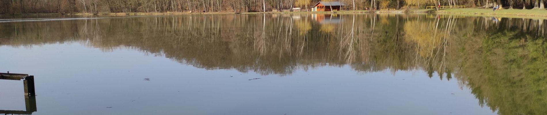 Randonnée Marche Heimsbrunn - heimsbrunn - Photo