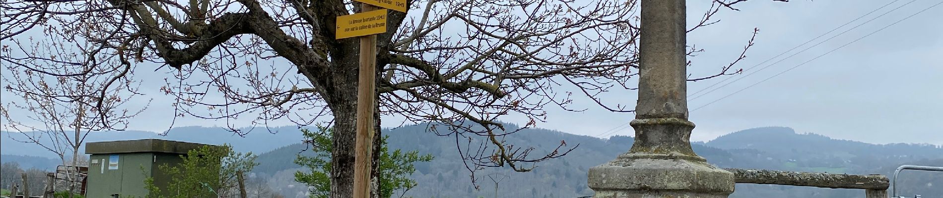 Randonnée Marche Saint-Symphorien-de-Marmagne - Rando au départ de SSM - Photo