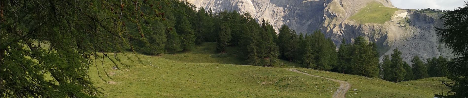 Randonnée Marche nordique Arbaz - les rousses  - Photo