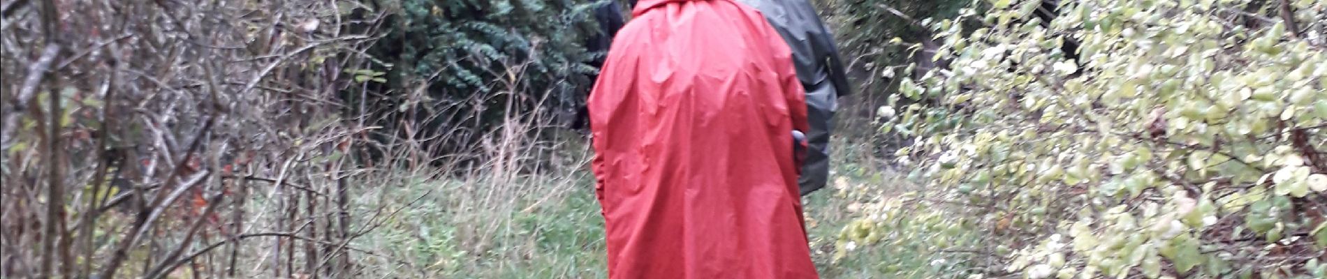 Tocht Stappen Rouen - Darnétal le long du Robec vers la petite Bouverie et retour - Photo