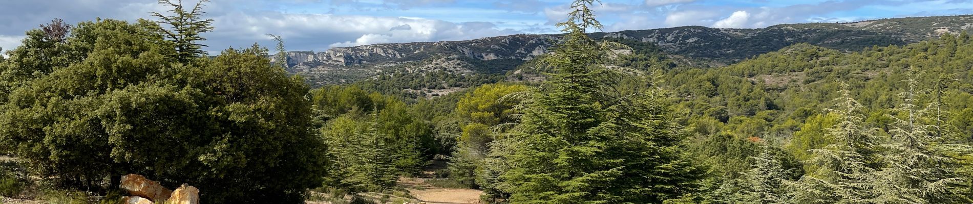 Tocht Stappen Puget - SityTrail - Les borries  - Photo