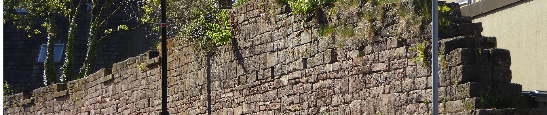 Percorso A piedi Stadtoldendorf - ST2 Durchs Fahrenbachtal zum Klostergut - Photo